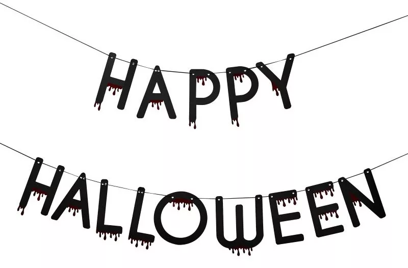 Ghirlanda di notte di Halloween 2,5 m