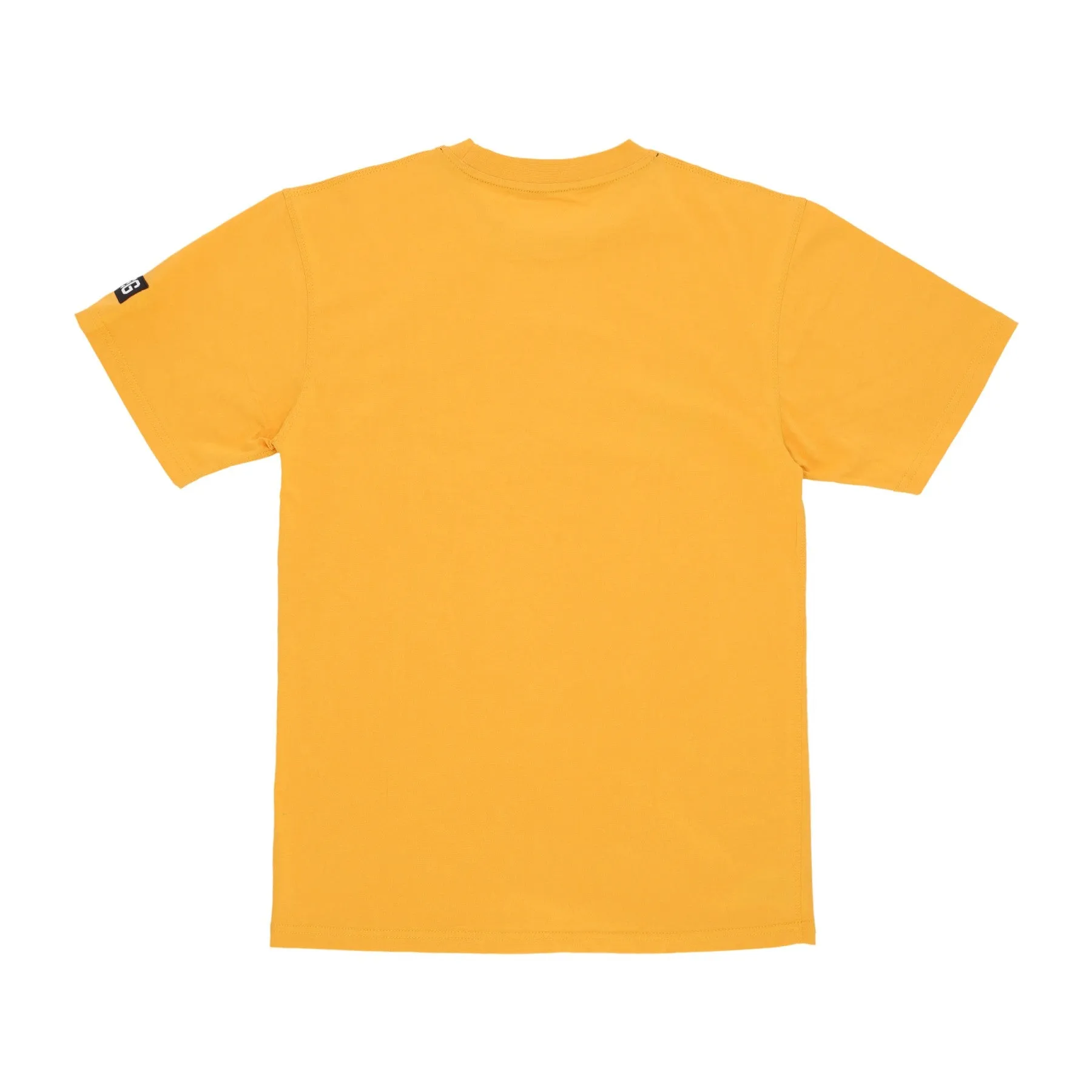 Maglietta Uomo Arch Logo Tee Mustard